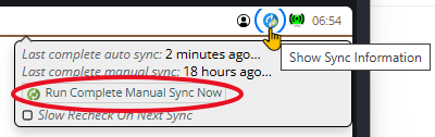 Shows how to  force running a complete manual sync now